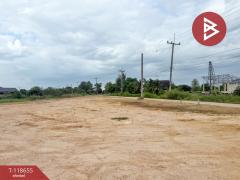 ขายที่ดิน เนื้อที่ 1 ไร่ เหมืองง่า ลำพูน-202508211109111755749351574.jpg