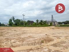 ขายที่ดิน เนื้อที่ 1 ไร่ เหมืองง่า ลำพูน-202508211109161755749356576.jpg