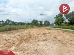 ขายที่ดิน เนื้อที่ 1 ไร่ เหมืองง่า ลำพูน-202508211109181755749358578.jpg