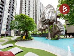 ขายคอนโดมิเนียม เอลลิโอ เดล เนสท์ (Elio Del Nest) บางนา กรุงเทพมหานคร-202508211223161755753796985.jpg