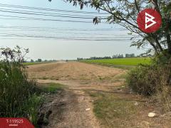 ขายที่ดิน-เนื้อที่-15-ไร่-3-งาน-28-ตร.วา-ล