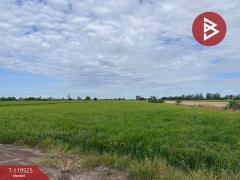 ขายที่ดิน เนื้อที่ 15 ไร่ 3 งาน 28 ตร.วา ลาดบัวหลวง พระนครศรีอยุธยา-202508211325151755757515709.jpg