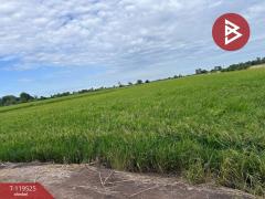 ขายที่ดิน เนื้อที่ 15 ไร่ 3 งาน 28 ตร.วา ลาดบัวหลวง พระนครศรีอยุธยา-202508211325171755757517529.jpg