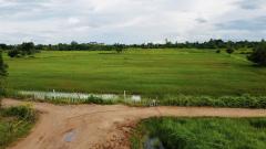 ขายถูก ที่ดิน อ. บัวใหญ่ จ. นครราชสีมา -202508211406021755759962675.jpg