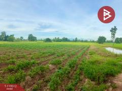 ขายที่ดิน เนื้อที่ 12 ไร่ 63 ตร.วา ขาณุวรลักษบุรี กำแพงเพชร-202508211531441755765105000.jpg