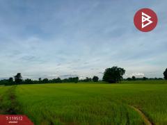 ขายที่ดิน เนื้อที่ 12 ไร่ 63 ตร.วา ขาณุวรลักษบุรี กำแพงเพชร-202508211531451755765105520.jpg