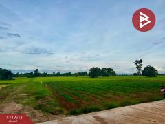 ขายที่ดิน เนื้อที่ 12 ไร่ 63 ตร.วา ขาณุวรลักษบุรี กำแพงเพชร-202508211531461755765106043.jpg