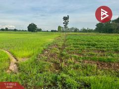 ขายที่ดิน เนื้อที่ 12 ไร่ 63 ตร.วา ขาณุวรลักษบุรี กำแพงเพชร-202508211531461755765106602.jpg