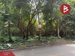 ขายที่ดิน เนื้อที่ 35 ไร่ 3 งาน 82.7 ตร.วา ลับแล อุตรดิตถ์-202508211558051755766685815.jpg