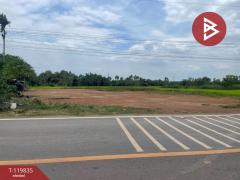 ขายด่วนที่ดิน เนื้อที่ 1 ไร่ ศรีมหาโพธิ ปราจีนบุรี-202508211616141755767774368.jpg