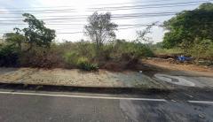 ขายที่ดินเปล่า ติดถนนปทุมธานี-สายใน เนื้อที่ 124-1-66 ไร่  *** ที่ดินติดถนนร่วมจิตต์มุสลิม *** ถนนปทุมธานีสายใน  (ด้านหลังติดแม่น้ำเจ้าพระยา) ตำบลบ้านใหม่ อำเภอเมืองปทุม  จังหวัดปทุมธานี-202508211642371755769357983.jpg