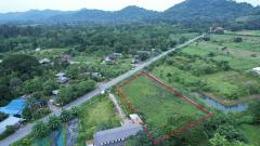 ขายที่ดิน 2 ไร่ ติดถนนหลวง ตำบลเขาพระ มีโฉนด หน้ากว้าง 50 เมตร วิวเขาชัดสวย -202508211739281755772768190.jpg