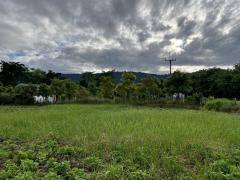 ขายที่ดิน 2 ไร่ ติดถนนหลวง ตำบลเขาพระ มีโฉนด หน้ากว้าง 50 เมตร วิวเขาชัดสวย -202508211740151755772815698.jpg