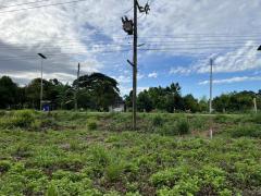ขายที่ดิน 2 ไร่ ติดถนนหลวง ตำบลเขาพระ มีโฉนด หน้ากว้าง 50 เมตร วิวเขาชัดสวย -202508211740161755772816264.jpg