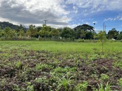 ขายที่ดิน 2 ไร่ ติดถนนหลวง ตำบลเขาพระ มีโฉนด หน้ากว้าง 50 เมตร วิวเขาชัดสวย -202508211740171755772817395.jpg
