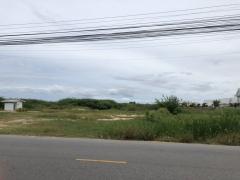 ขาย ที่ดินผืนงามชะอำ-หัวหิน (ติดถนนวัดบางไทรย้อย) 3 แปลง 3 โฉนดรวม 9 ไร่เศษ-202508211935171755779717622.jpg