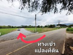 ขายที่ดินหมูสี ปากช่อง เขาใหญ่ สูงกว่าระดับน้ำทะเล 375 เมตร ทำเลทองหล่อเขาใหญ่  ราคาดีที่สุด รีบจองก่อนหมด ใกล้ธนะรัชต์-202508212004441755781484249.jpeg