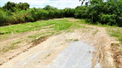 ขายที่ดินหมูสี ปากช่อง เขาใหญ่ สูงกว่าระดับน้ำทะเล 375 เมตร ทำเลทองหล่อเขาใหญ่  ราคาดีที่สุด รีบจองก่อนหมด ใกล้ธนะรัชต์-202508212004451755781485357.jpeg