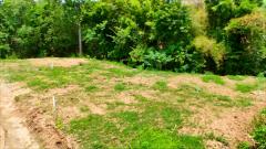 ขายที่ดินหมูสี ปากช่อง เขาใหญ่ สูงกว่าระดับน้ำทะเล 375 เมตร ทำเลทองหล่อเขาใหญ่  ราคาดีที่สุด รีบจองก่อนหมด ใกล้ธนะรัชต์-202508212004451755781485918.jpeg