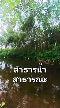 ขายที่ดินหมูสี ปากช่อง เขาใหญ่ สูงกว่าระดับน้ำทะเล 375 เมตร ทำเลทองหล่อเขาใหญ่  ราคาดีที่สุด รีบจองก่อนหมด ใกล้ธนะรัชต์-202508212004461755781486475.jpeg