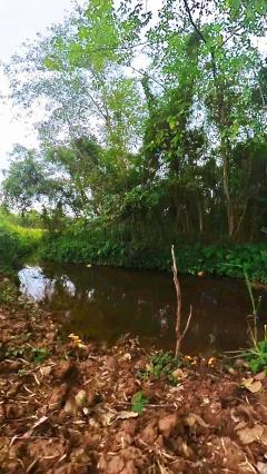 ขายที่ดินหมูสี ปากช่อง เขาใหญ่ สูงกว่าระดับน้ำทะเล 375 เมตร ทำเลทองหล่อเขาใหญ่  ราคาดีที่สุด รีบจองก่อนหมด ใกล้ธนะรัชต์-202508212004471755781487053.jpeg