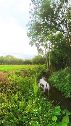 ขายที่ดินหมูสี ปากช่อง เขาใหญ่ สูงกว่าระดับน้ำทะเล 375 เมตร ทำเลทองหล่อเขาใหญ่  ราคาดีที่สุด รีบจองก่อนหมด ใกล้ธนะรัชต์-202508212004471755781487607.jpeg