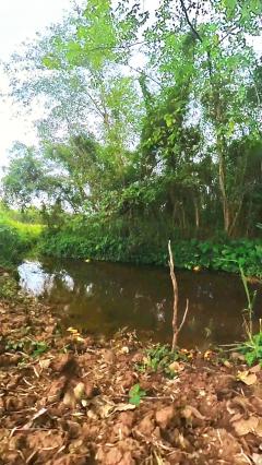 ขายที่ดินหมูสี ปากช่อง เขาใหญ่ สูงกว่าระดับน้ำทะเล 375 เมตร ทำเลทองหล่อเขาใหญ่  ราคาดีที่สุด รีบจองก่อนหมด ใกล้ธนะรัชต์-202508212004481755781488367.jpeg