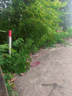 ขายถูกที่ดินเพชรเกษม 84 ตารางวา ติดถนนคอนกรีตสาธารณะ สวัสดิการ 1 ซอย 1/13 หนองแขม กทม.-202508220336131755808573346.jpg