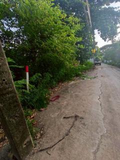 ขายถูกที่ดินเพชรเกษม 84 ตารางวา ติดถนนคอนกรีตสาธารณะ สวัสดิการ 1 ซอย 1/13 หนองแขม กทม.-202508220336131755808573914.jpg