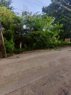 ขายถูกที่ดินเพชรเกษม 84 ตารางวา ติดถนนคอนกรีตสาธารณะ สวัสดิการ 1 ซอย 1/13 หนองแขม กทม.-202508220336141755808574428.jpg