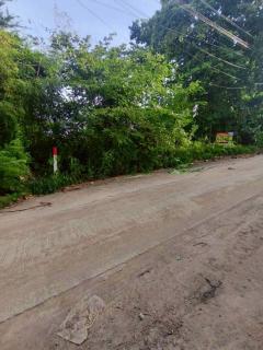 ขายถูกที่ดินเพชรเกษม 84 ตารางวา ติดถนนคอนกรีตสาธารณะ สวัสดิการ 1 ซอย 1/13 หนองแขม กทม.-202508220336141755808574947.jpg