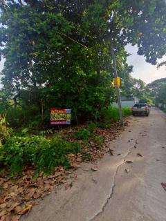 ขายถูกที่ดินเพชรเกษม 84 ตารางวา ติดถนนคอนกรีตสาธารณะ สวัสดิการ 1 ซอย 1/13 หนองแขม กทม.-202508220336151755808575462.jpg