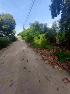 ขายถูกที่ดินเพชรเกษม 84 ตารางวา ติดถนนคอนกรีตสาธารณะ สวัสดิการ 1 ซอย 1/13 หนองแขม กทม.-202508220336151755808575980.jpg