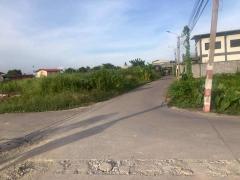 ขายถูกที่ดินเพชรเกษม 84 ตารางวา ติดถนนคอนกรีตสาธารณะ สวัสดิการ 1 ซอย 1/13 หนองแขม กทม.-202508220336161755808576486.jpg