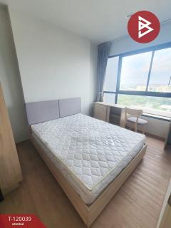 ขายคอนโด คอมมอน ทียู (Common TU) ติดม.ธรรมศาสตร์ รังสิต-202508221100121755835212025.jpg