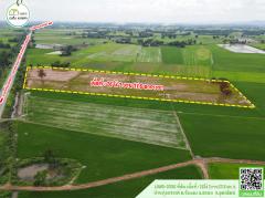 ที่ดินเปล่า(ที่นา)หน้ากว้าง ติดถนนหลัก หมายเลข1196(บ.ข่อยสูง-บ.บ้านวังกะพี้)โฉนดพร้อมโอน-202508221141091755837669145.jpg