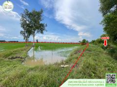 ที่ดินเปล่า(ที่นา)หน้ากว้าง ติดถนนหลัก หมายเลข1196(บ.ข่อยสูง-บ.บ้านวังกะพี้)โฉนดพร้อมโอน-202508221141101755837670652.jpg