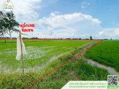 ที่ดินเปล่า(ที่นา)หน้ากว้าง ติดถนนหลัก หมายเลข1196(บ.ข่อยสูง-บ.บ้านวังกะพี้)โฉนดพร้อมโอน-202508221141131755837673111.jpg