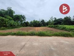 ขายที่ดิน-เนื้อที่-2-งาน-47-ตร.วา-ท่าจำป