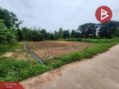 ขายที่ดิน เนื้อที่ 2 งาน 47 ตร.วา ท่าจำปี พะเยา-202508221148531755838133131.jpg
