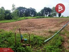 ขายที่ดิน เนื้อที่ 2 งาน 47 ตร.วา ท่าจำปี พะเยา-202508221148531755838133655.jpg