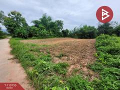 ขายที่ดิน เนื้อที่ 2 งาน 47 ตร.วา ท่าจำปี พะเยา-202508221148541755838134184.jpg