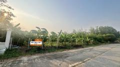 ขายที่ดินถมแล้ว 1 ไร่ หมู่บ้านรังสิตเลคแลนด์ คลอง4 คลองหลวง ปทุมธานี#LB73 – 001080-202508221210551755839455230.jpg
