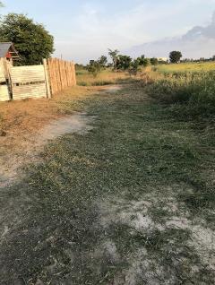 ขายที่ดิน 200ตรว - 5ไร่ อยู่อำเภอเมือง นครสวรรค์ เป็นที่สวน มีต้นไม้เยอะ ที่สูงน้ำไม่ท่วม ขายราคาถูก-202508221252401755841960118.jpg
