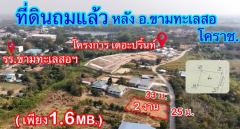 ที่ดินถูกขามทะเลสอโคราช  [ 1.6 ลบ.| 2 งาน. ] ใกล้มอเตอร์เวย์ (M6)  | ( 8,000 บ./ตร.ว.) ถมแล้ว น้ำไม่ท่วม