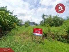 ขายที่ดิน เนื้อที่ 56 ตร.วา ประเวศ กรุงเทพมหานคร-202508221539051755851945606.jpg