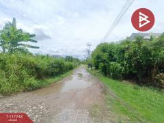 ขายที่ดิน เนื้อที่ 56 ตร.วา ประเวศ กรุงเทพมหานคร-202508221539061755851946134.jpg