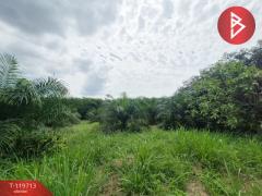 ขายที่ดินพร้อมสวนปาล์ม-เนื้อที่-3-งา