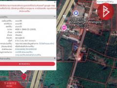ขายที่ดินพร้อมสวนปาล์ม เนื้อที่ 3 งาน 19.7 ตร.วา เวียงสระ สุราษฎร์ธานี-202508221657041755856624832.jpg