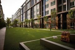 ให้เช่า DCONDO CAMPUS RESORT บางนา 30 ตรม แต่งโดยสถาปนิกผู้ชำนาญงาน-202508222117171755872237874.jpg